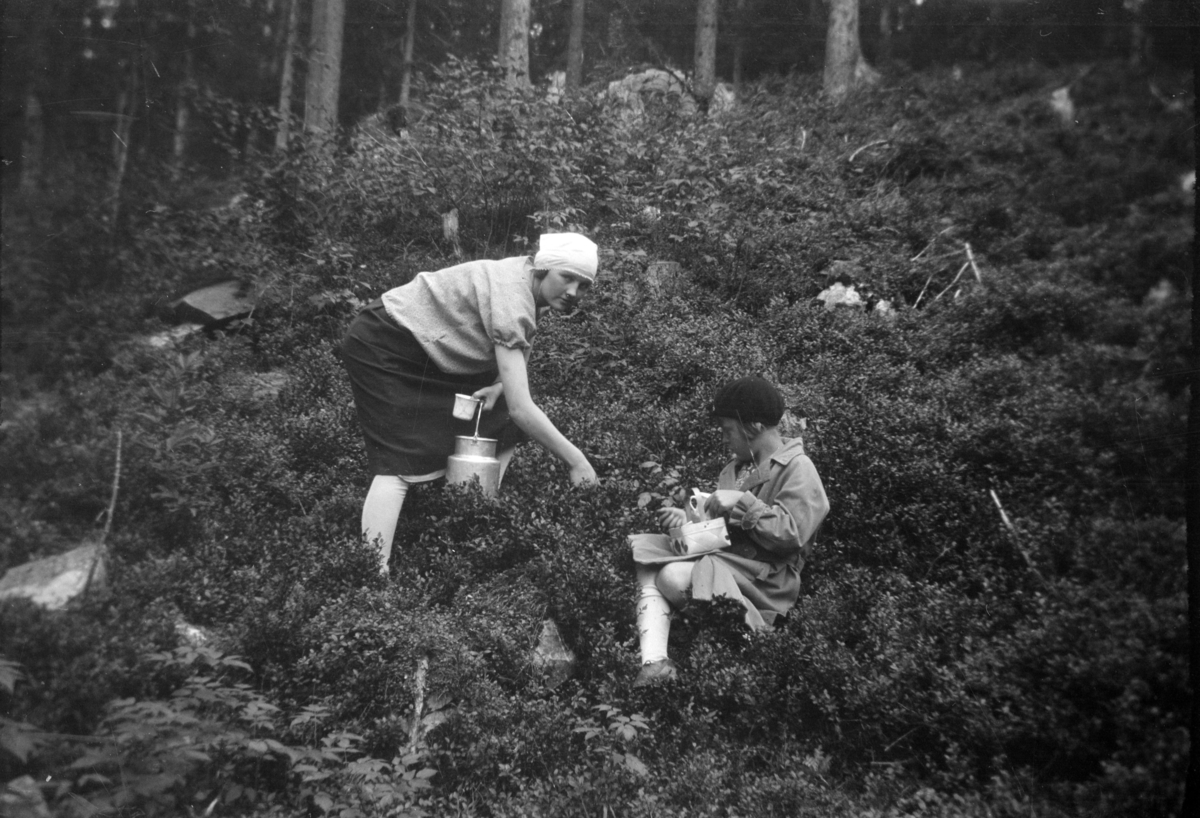 Aili og Gerd i blåbærskogen.