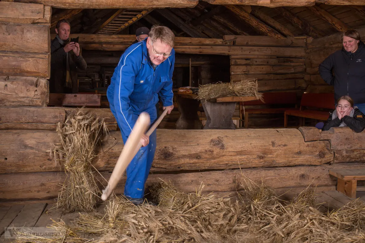 Tresking i Hammervoll-løa med Bjørn Austigard.