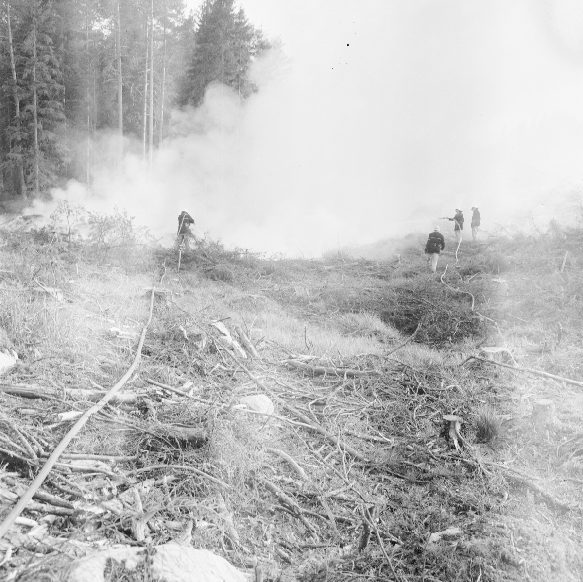 Skogsbrand i Sjukarby, Tolfta socken, Uppland