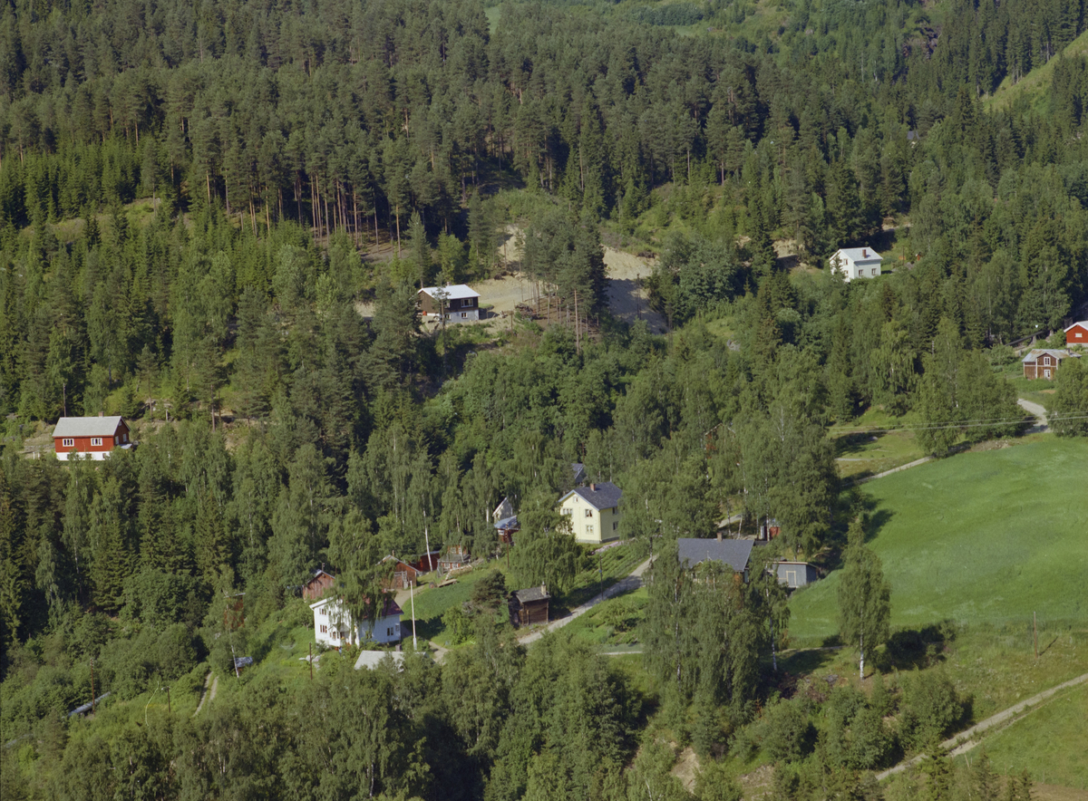 Øyer, Tretten, Stav. Diverse privatboliger, kulturlandskap, skog. Moksa renner fra høyre, øvre billedkant ned til venstre billedkant. Det lysegule, teoetasjes huset midt i bildet, er sansynligvis Hauglund, Moksavegen 12, hvor bygdas skomaker bodde.