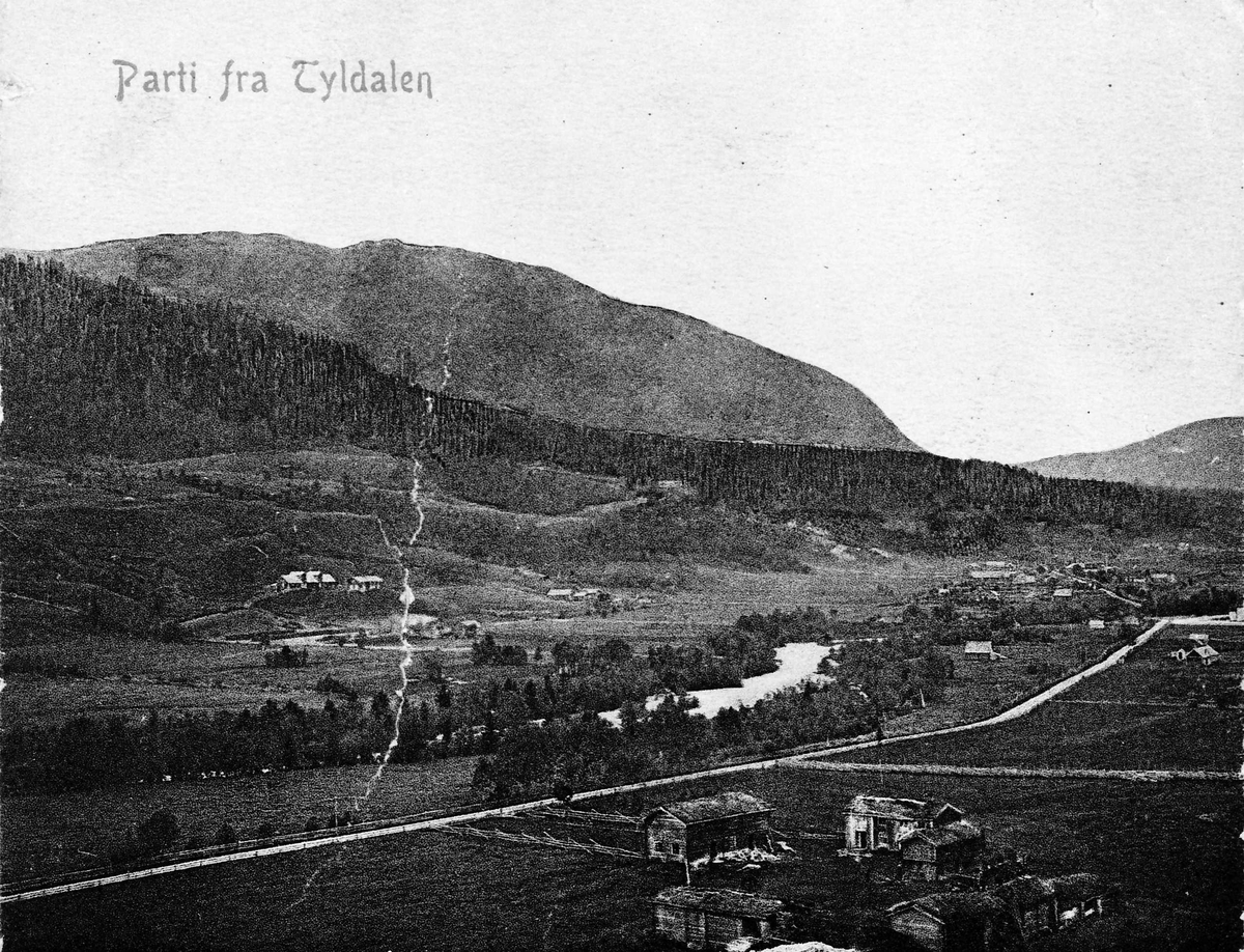 Parti fra Tyldalen