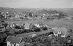 Motiv från Bohuslän ur bildsamlingen efter fotograf Carl Alfred Träff.