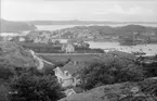 Motiv från Bohuslän ur bildsamlingen efter fotograf Carl Alfred Träff.