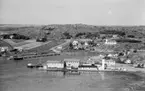 Motiv från Bohuslän ur bildsamlingen efter fotograf Carl Alfred Träff.