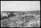 Motiv från Bohuslän ur bildsamlingen efter fotograf Carl Alfred Träff.