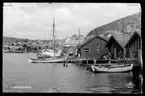 Motiv från Bohuslän ur bildsamlingen efter fotograf Carl Alfred Träff.