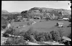 Motiv från Bohuslän ur bildsamlingen efter fotograf Carl Alfred Träff.