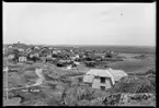 Motiv från Bohuslän ur bildsamlingen efter fotograf Carl Alfred Träff.