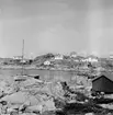 Motiv från Bohuslän ur bildsamlingen efter fotograf Carl Alfred Träff.