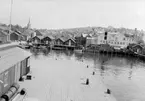 Motiv från Bohuslän ur bildsamlingen efter fotograf Carl Alfred Träff.