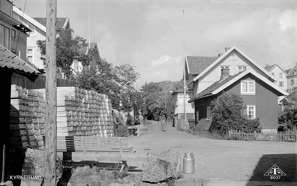 Motiv från Bohuslän ur Carl Alfred Träffs bildsamling