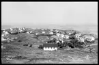 Motiv från Bohuslän ur bildsamlingen efter fotograf Carl Alfred Träff.