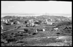 Motiv från Bohuslän ur bildsamlingen efter fotograf Carl Alfred Träff.