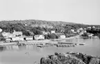 Motiv från Bohuslän ur bildsamlingen efter fotograf Carl Alfred Träff.