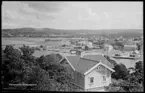 Motiv från Bohuslän ur bildsamlingen efter fotograf Carl Alfred Träff.