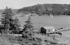 Motiv från Bohuslän ur bildsamlingen efter fotograf Carl Alfred Träff.