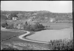 Motiv från Bohuslän ur bildsamlingen efter fotograf Carl Alfred Träff.