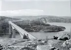 Motiv från Bohuslän ur bildsamlingen efter fotograf Carl Alfred Träff.