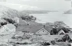 Motiv från Bohuslän ur bildsamlingen efter fotograf Carl Alfred Träff.