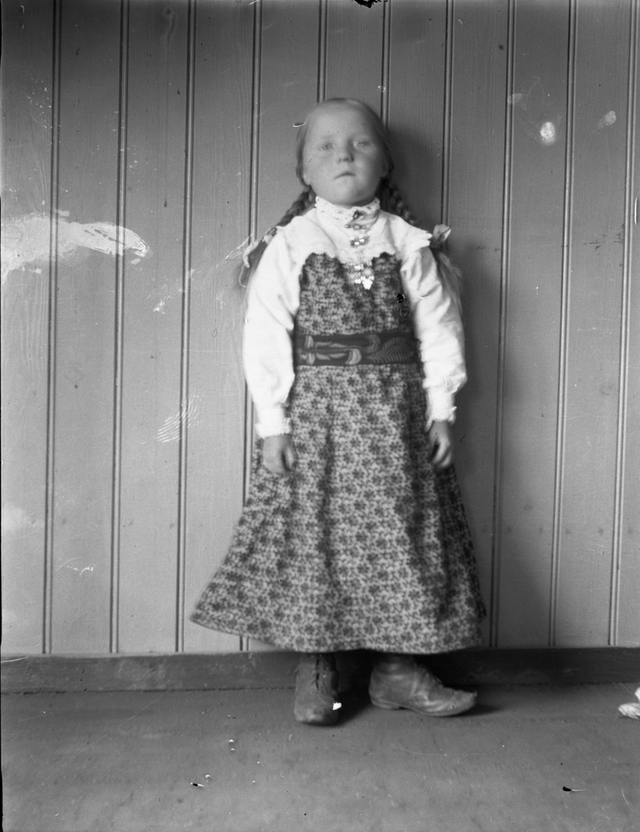 Rikard Berges fotoarkiv. Folk i bunader og klesdrakter fotografert på fjellet, 1905. Bildene er tatt av Johanna Bugge Berge. Bilde nr. 12 ant. Spellemannen Hans Smeland fra Seljord. Bilde nr. 21 ant. 17 mai, Seljord kirke.