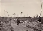 Uppppröjd väg för jernvägsspår (järnvägsspår) genom afvecklingen (avvecklingen). (Michigan). Ur album Fotografier från amerikanska Träkolshyttor 1905/1906.