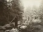 Män i arbete.
Finnvikskabeln. Kabelläggning vid Räfsnäs. Ur albumet Kabelarbetet Hjälmsälra (Hjälmsättra) - Norrtälje -  Finnviken utfört under sommaren 1928.