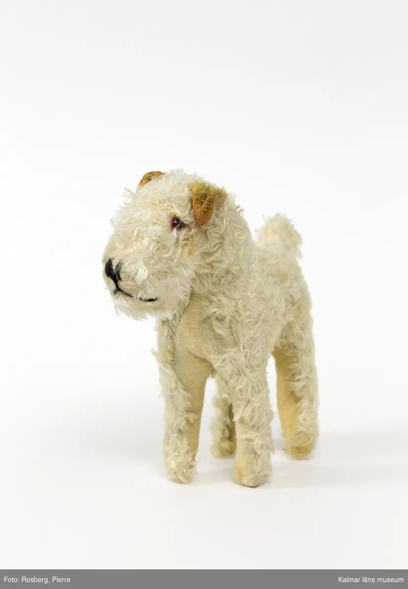 KLM 28494:36 Leksakshund, klädd med plysch. Sydd svart nos, ögon av glas. Kort stubbsvans.