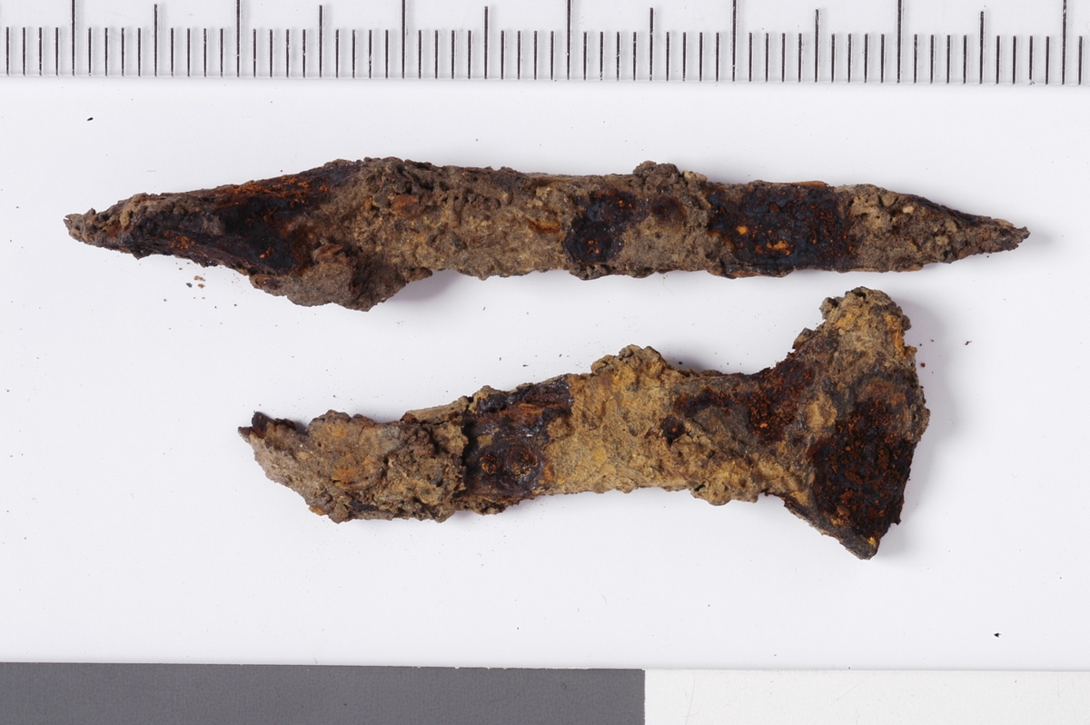 MALV: A) L. 5, 8 CM B) L. 4, 6 CM