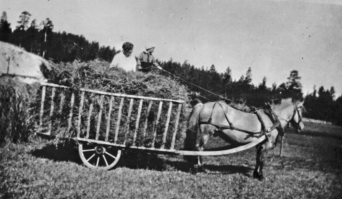 Høykjøring, hest og vogn, personer.