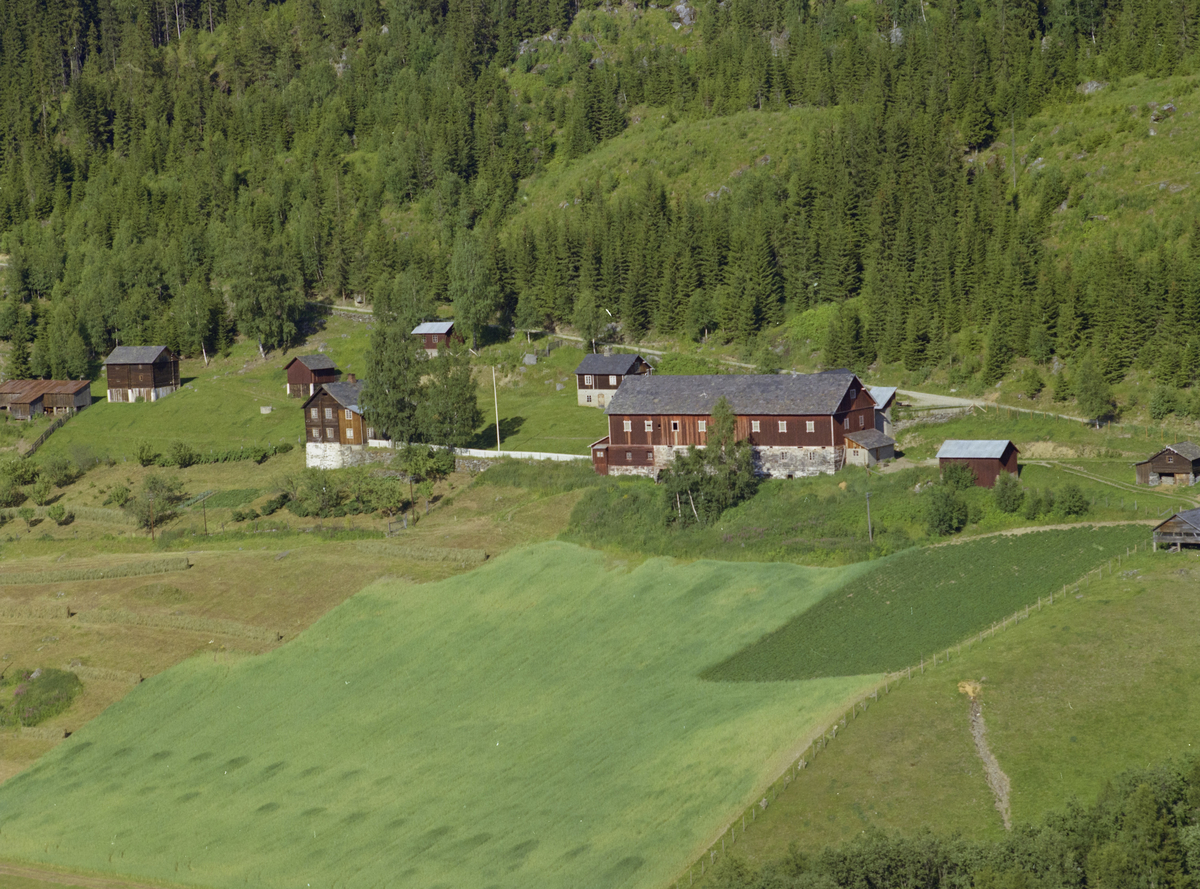 Øyer, Nord-Tretten. Ledum (Ledem) Gård. Stor, brun driftsbygning med naturstein grunnmur. Stakittgjerde bort til våninsghuset, et brunt, toetasjes hus med hvit grunnmur og hvit flaggstang. I tillegg et bolighus og fem uthus i brunt på eiendommen. Stor kjøkkenhage nedenfor våningshuset, Veg ovenfor gården, dyrket mark med bl.a. hesjer og en potetåker nedenfor. Spredt skog i overkant av bildet.