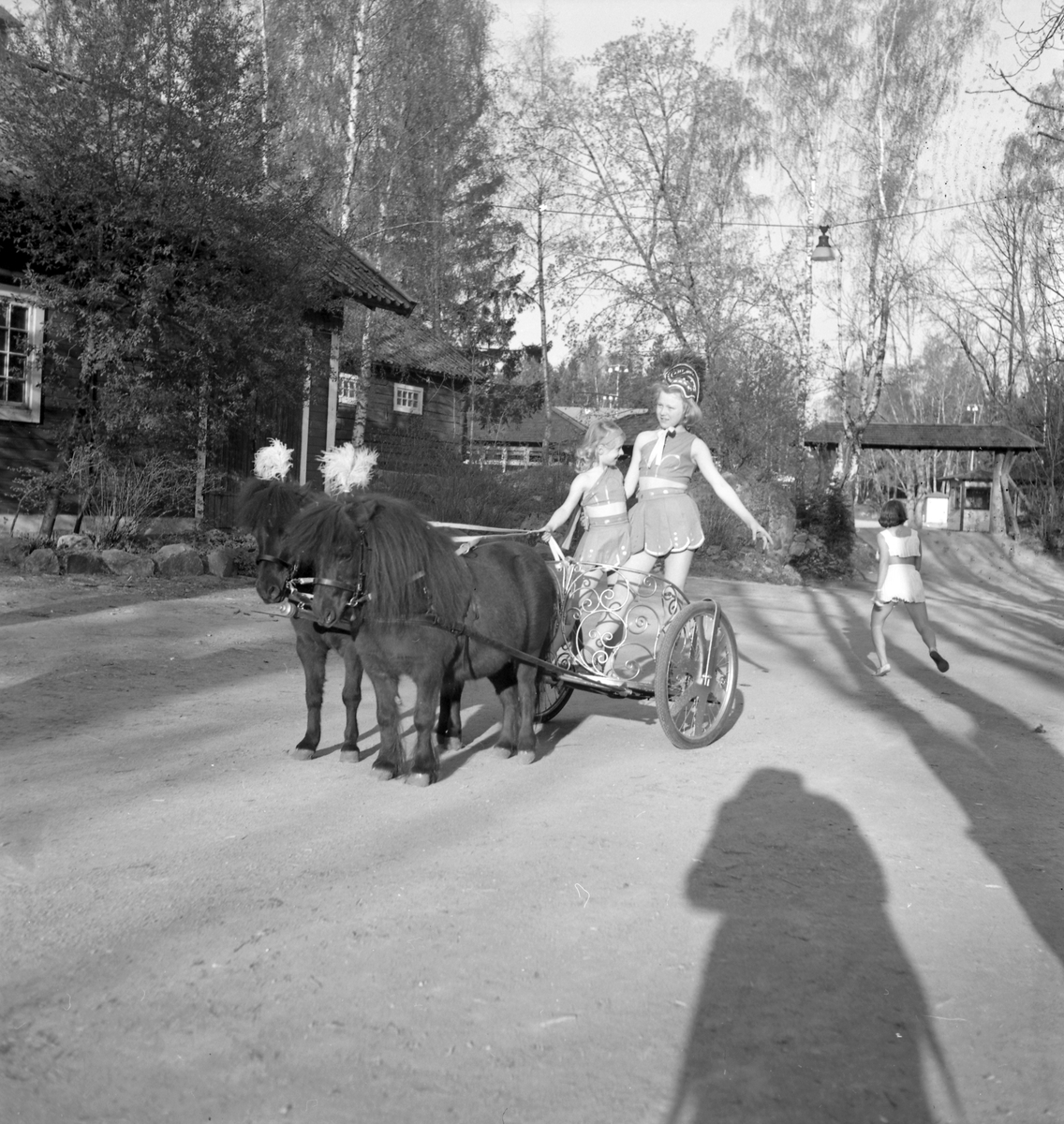 Den 15 maj 1950. Furuviksbarnen




