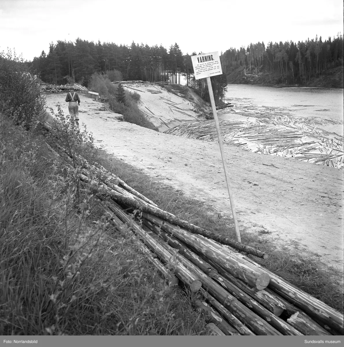 Jordmassor rasar ner i Ljungan vid Hällsjö, öster om Nedansjö, på grund av dämningar vid bygget av Skallböle kraftverk.