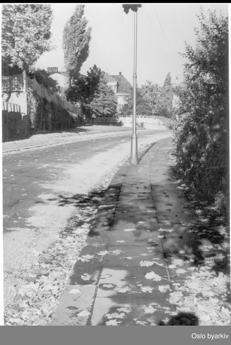 Herskapsvillaer med forhager vendt mot gata. Sophus Lies gate fotografert fra Thomas Heftyes gate. Fritzners gate inn fra venstre i bakgrunnen.