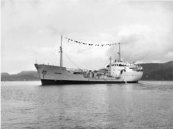 Byggenr. 46 v. Langesund Mekaniske Verksted: Cementine.
3: N