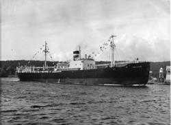 Byggenr. 32 v. LMV: Kollfinn.
Båten passerer Figgeskjær på v