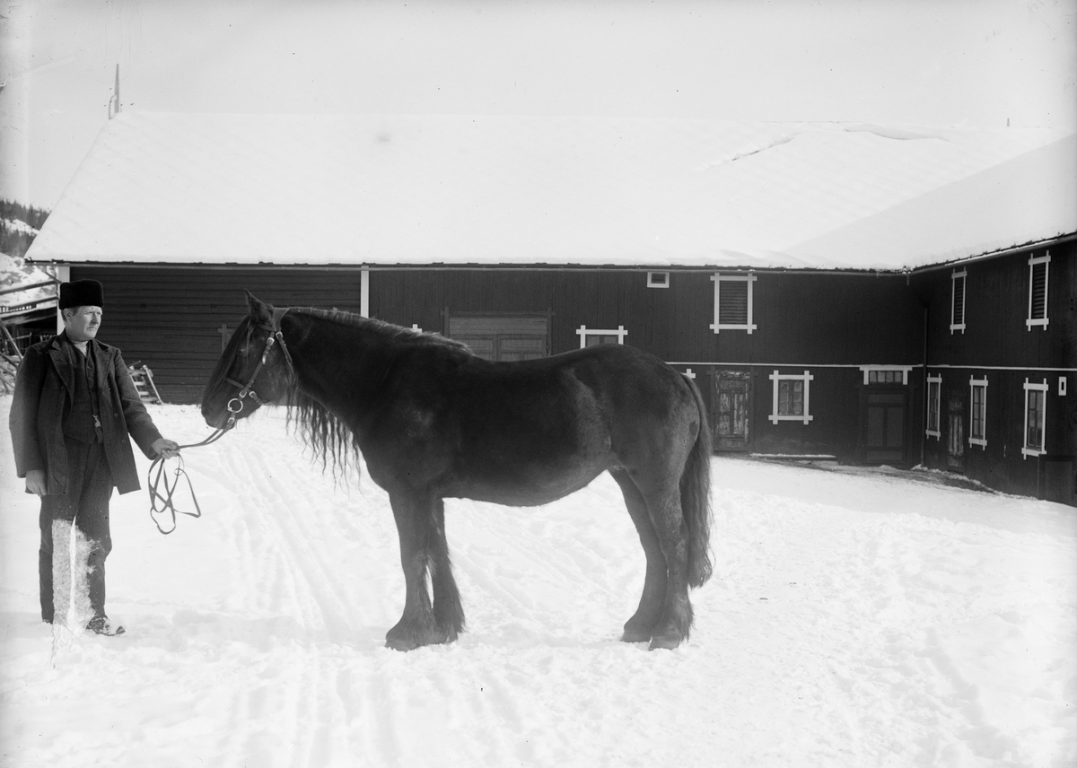 Dølagubba / Harildstad, mars 1914, mann med hest i gårdstun, utstilling