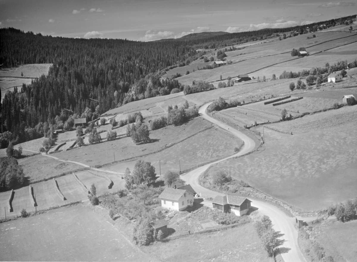 Dulve,Tretten, Øyer, 16.07.1959, Dulve trolig oppe til høyre i bildet, kulturlandskap, jordbruk, slåttonn, hesjing, granskog, vei