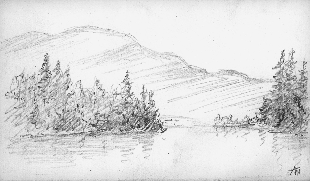 landskap naturskildringer