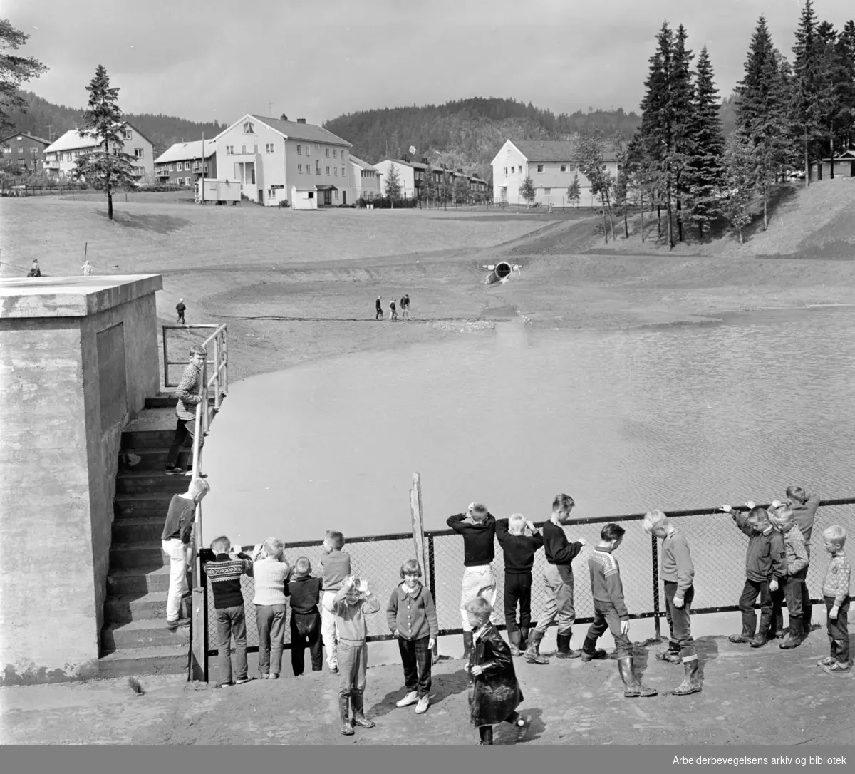 Tonsen: Badedammen og hagen. Juni 1962