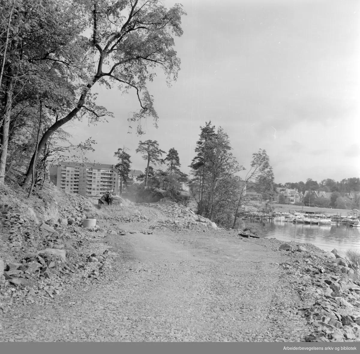 Strandpromenaden. Veiarbeider ved Sjølyst, Bygdøy. Juni 1959