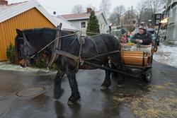 Anno – Museene i Hedmark