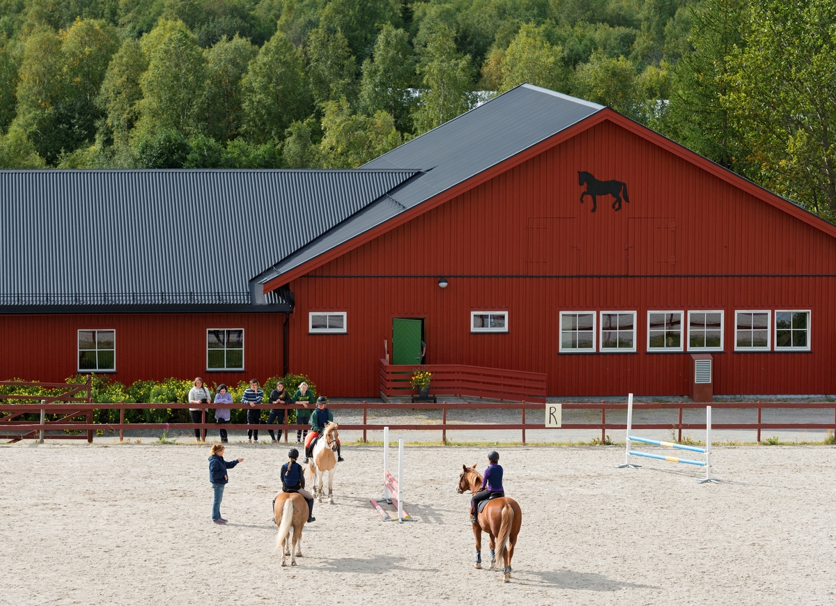 Fra Storsteigen videregående skole i Alvdal, Hedmark. Undervisning. Utdanning. Husdyrbruk i Nord-Østerdalen. Landbruk. Hest. Hestehold. Sprangridning på bane. Hest og rytter. Hestesport. Storsteigen videregående skole har undervist i landbruk og naturbruk i mer enn 100 år.