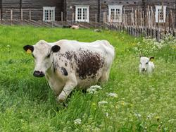 Anno – Museene i Hedmark