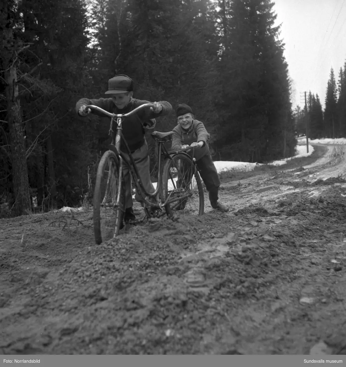 Besvärligt och lerigt väglag våren 1950 för bilförare och cyklister på vägen mellan Torpshammar och Hassela.