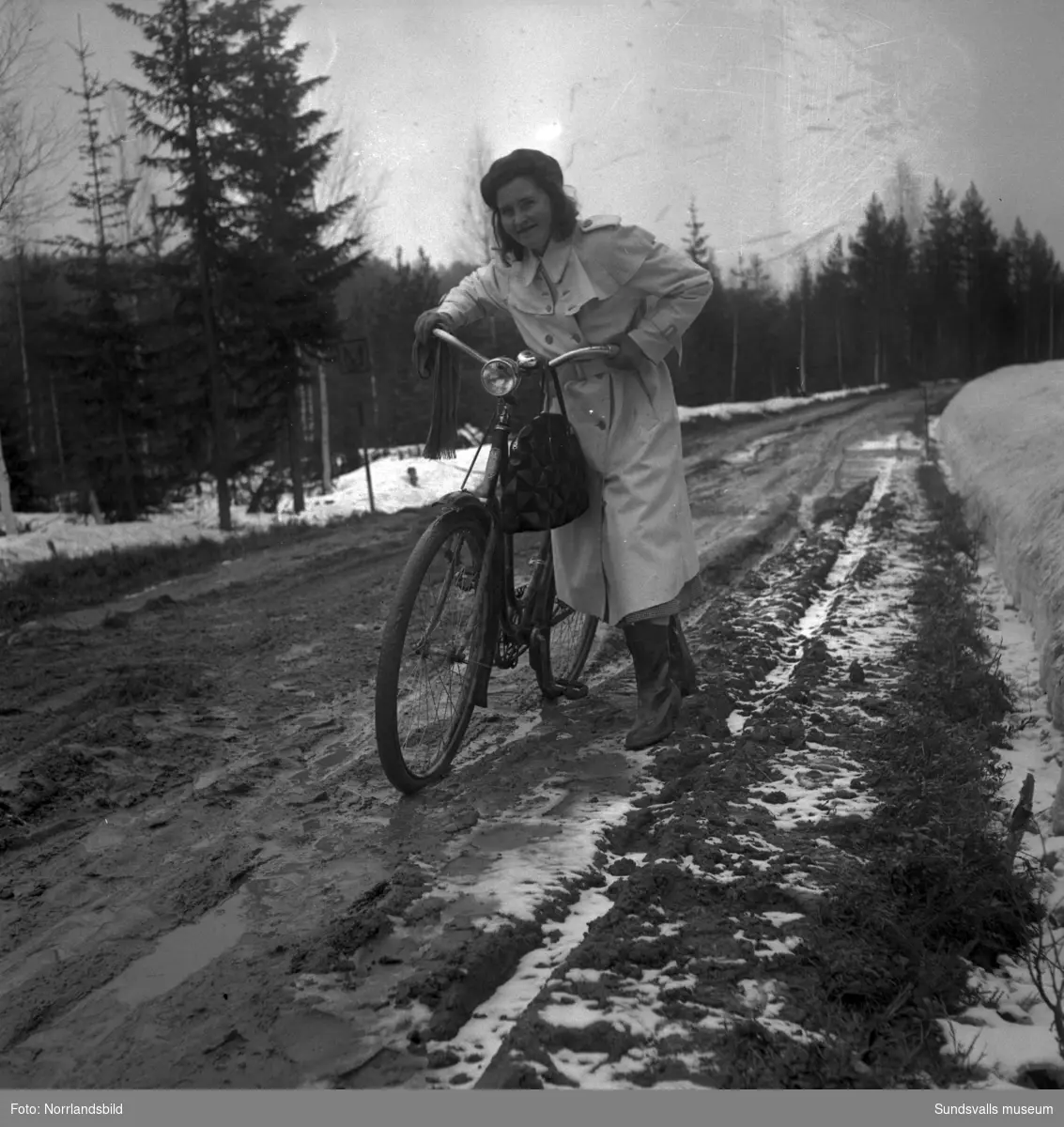 Besvärligt och lerigt väglag våren 1950 för bilförare och cyklister på vägen mellan Torpshammar och Hassela.