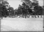 Vinterövning i Norrland, Östersund 1926, Läger i skogen