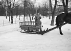 Vinterpackning och slädkärrförsök 1935