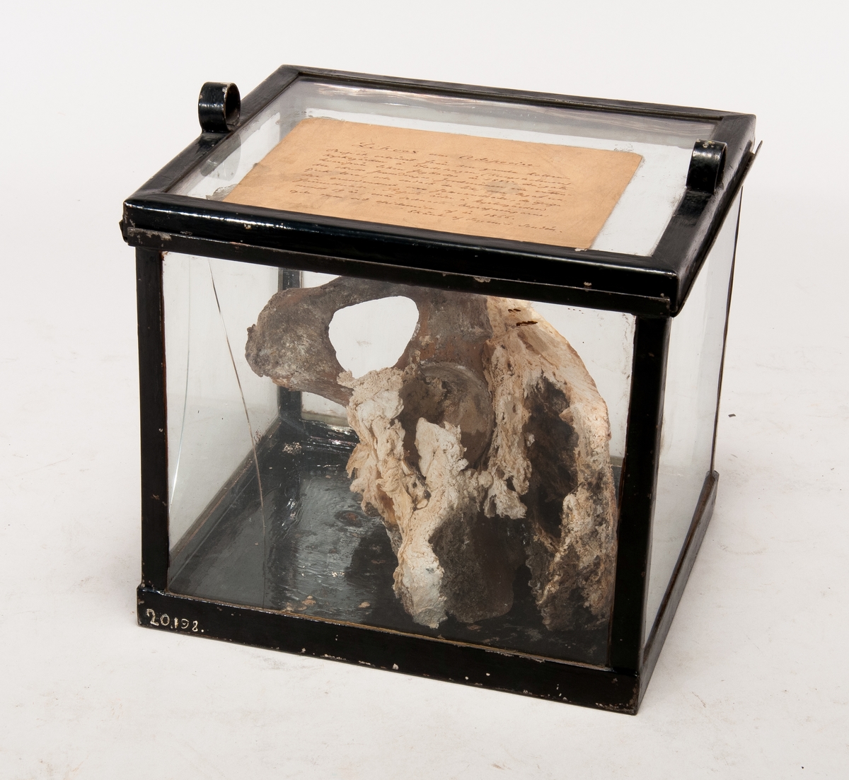 Prov på likvax, i låda av glas, med etikett med beskrivning: "Likvax eller adiopocer", "Profvet erhållet från den gammla kolerakyrkogården å Stadshagen, hvarifrån liken flyttades 1885 då gata den skulle framdragas. Jordmånen var vattensjuk lera och endast de lik som legat under grundvattnet vore förvarade, de övriga förmultnade. Pofvet är å kyrkogården minst 19 år, endast senaste begravningarna ägde rum vid epedemien år 1866. Skänkt af Ingenjör Sandén".  Måtten avser glaskuben.