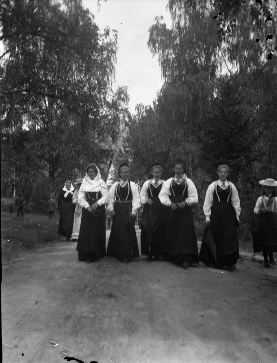 Rikard Berges fotoarkiv. 8 negativer. Gruppe mennesker på fjellet, kvinner i bunader.