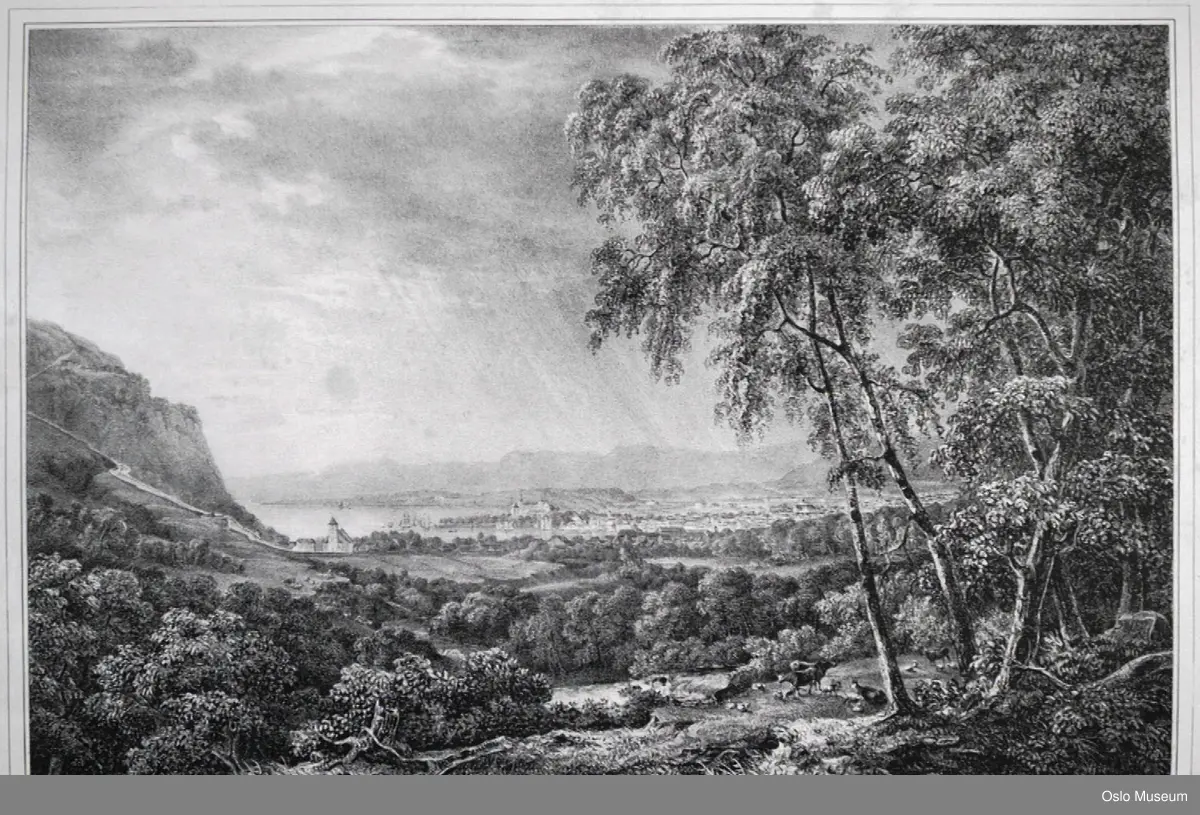 utsikt, landskap, natur, kyr